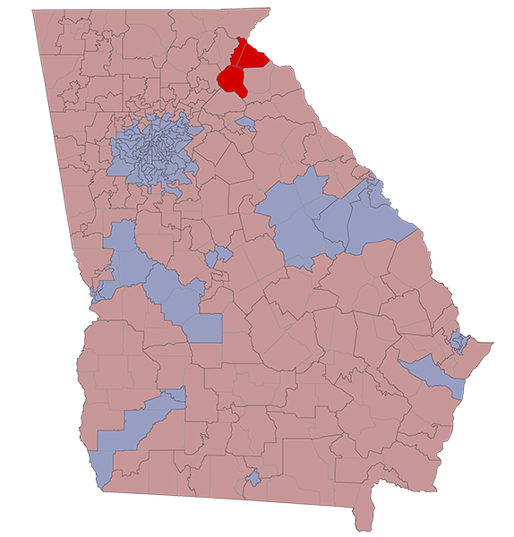 Georgia House District 028