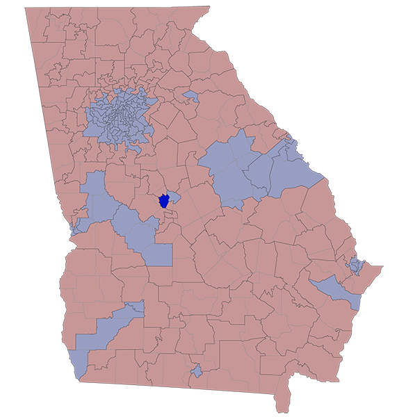 Georgia House District 142