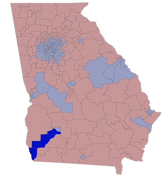 Georgia House District 154