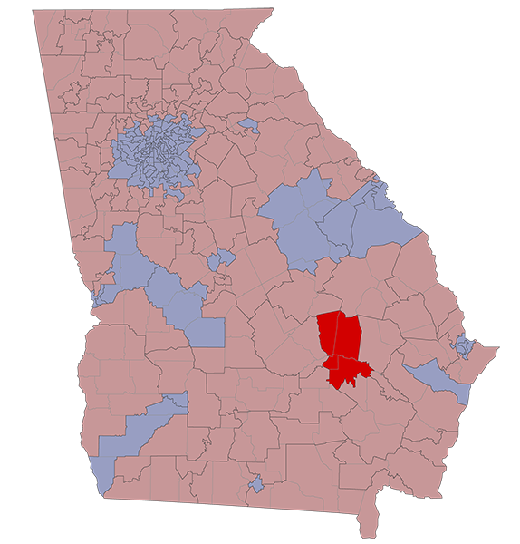 Georgia House District 156