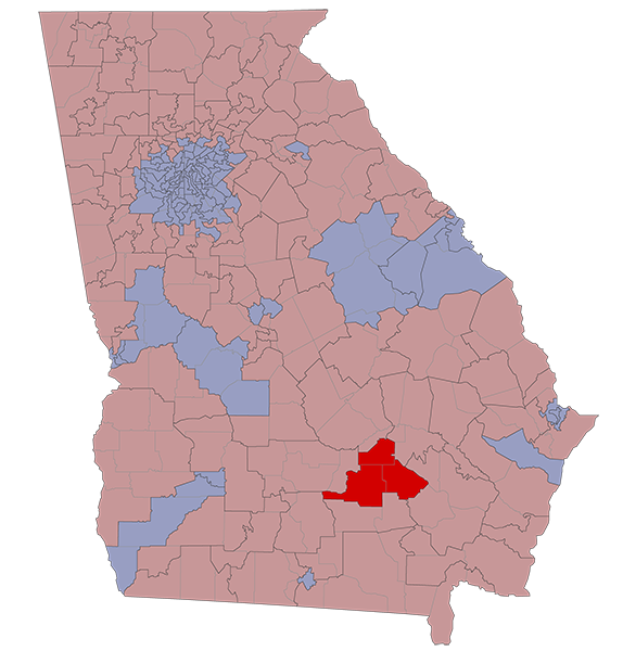 Georgia House District 169