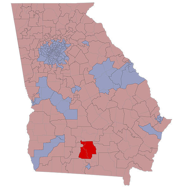 Georgia House District 170