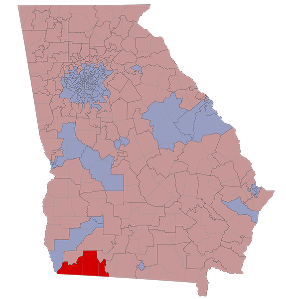 Georgia House District 173