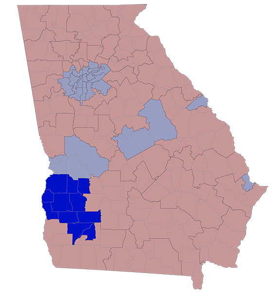 Georgia Senate District 12