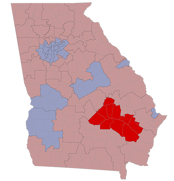 Georgia Senate District 19