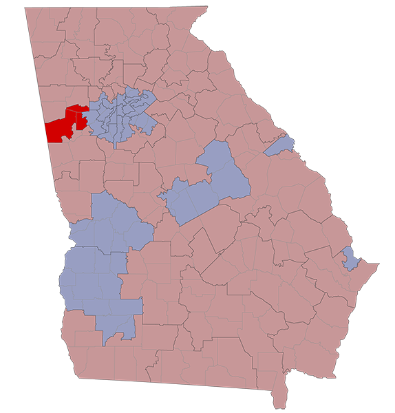 Georgia Senate District 30