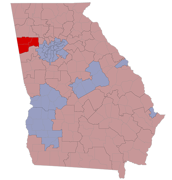 Georgia Senate District 31