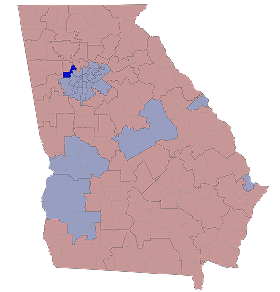 Georgia Senate District 33