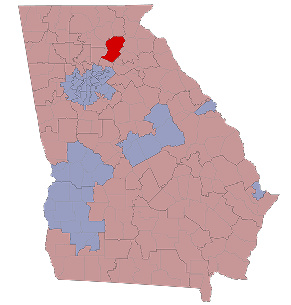 Georgia Senate District 49